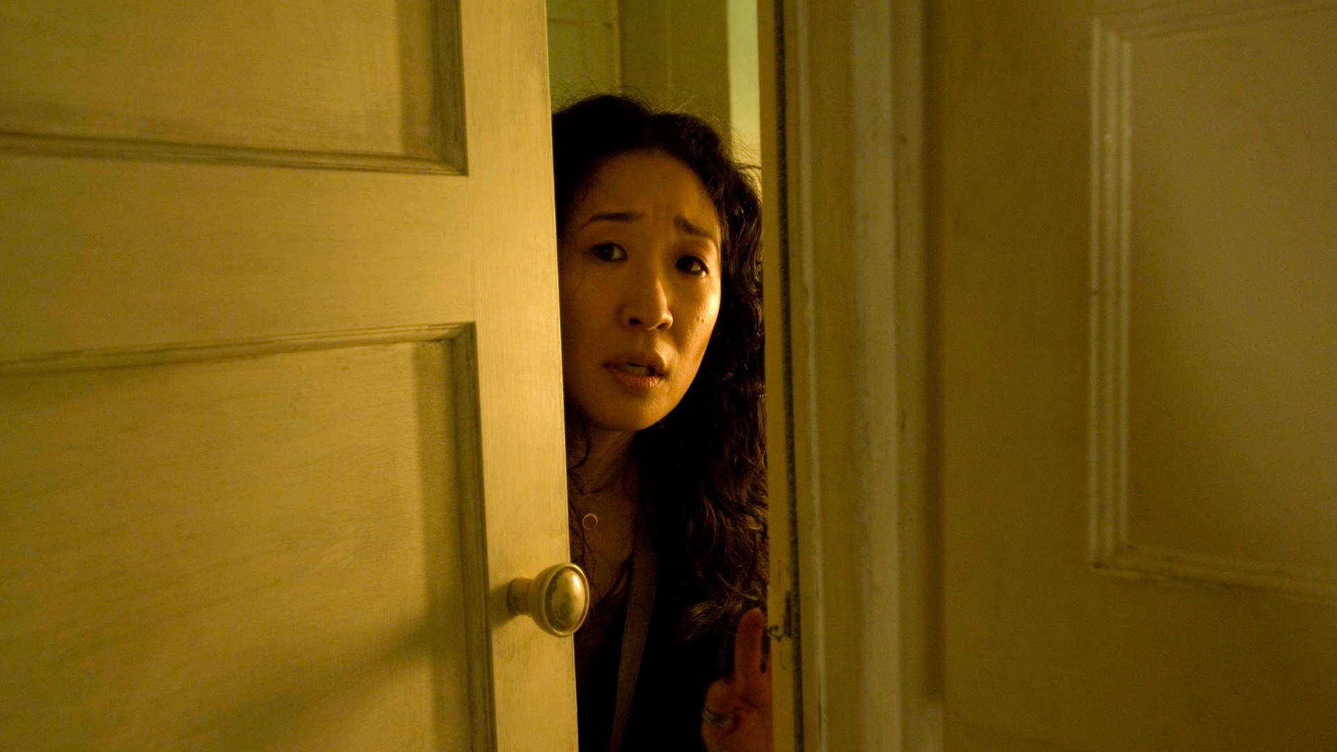 Thorne Scaredy Cat E2 Thorne Scaredy Cat Knowledge.ca